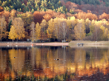 Gelterswoog im Herbst