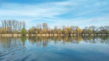 Blick vom See auf die privaten Parzellen mit Badeeinstieg