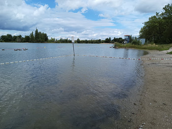 Auch Wasservögel fühlen sich hier wohl