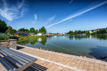 Ein sonniger Tag am Weiher