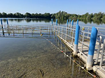 Blaualgen-Warnstufe vor Beginn der Badesaison