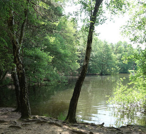 Der See liegt buchstäblich mitten im Wald