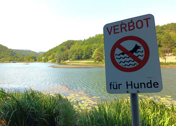 Hunde haben keinen Zutritt