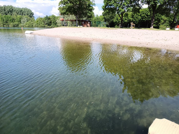 Hinter dem Strand befindet sich die Liegewiese