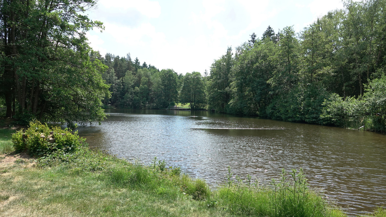 Der Waldsee ist idyllisch gelegen