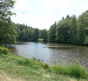 Der Waldsee ist idyllisch gelegen