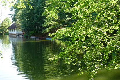 Bärenlochweiher wieder in Warnstufe