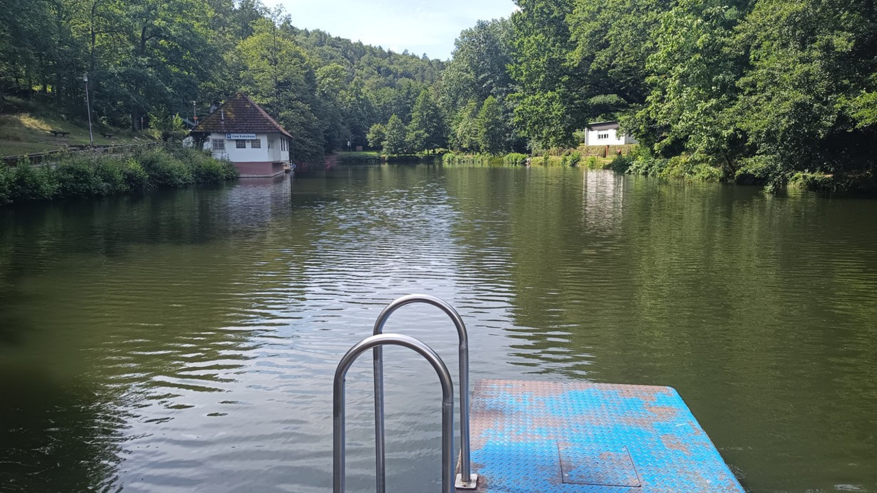 Das Ufer ist von Bäumen gesäumt