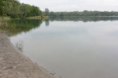 Nachtweideweiher Lambsheim in der ersten Warnstufe 