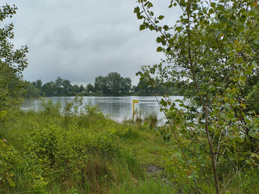Blick aufs bewachsene Ufer, im Hintergrund der Campingplatz