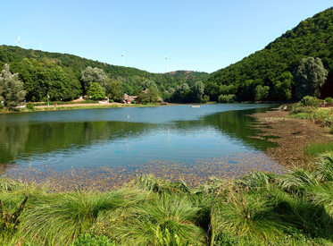 Für den Waldsee wurde der Riedbach aufgestaut