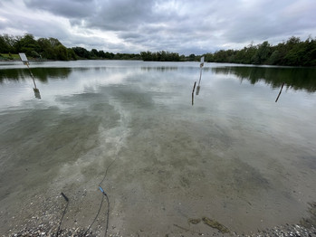 Flaches Wasser am Seeufer