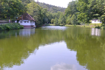 Bärenlochweiher