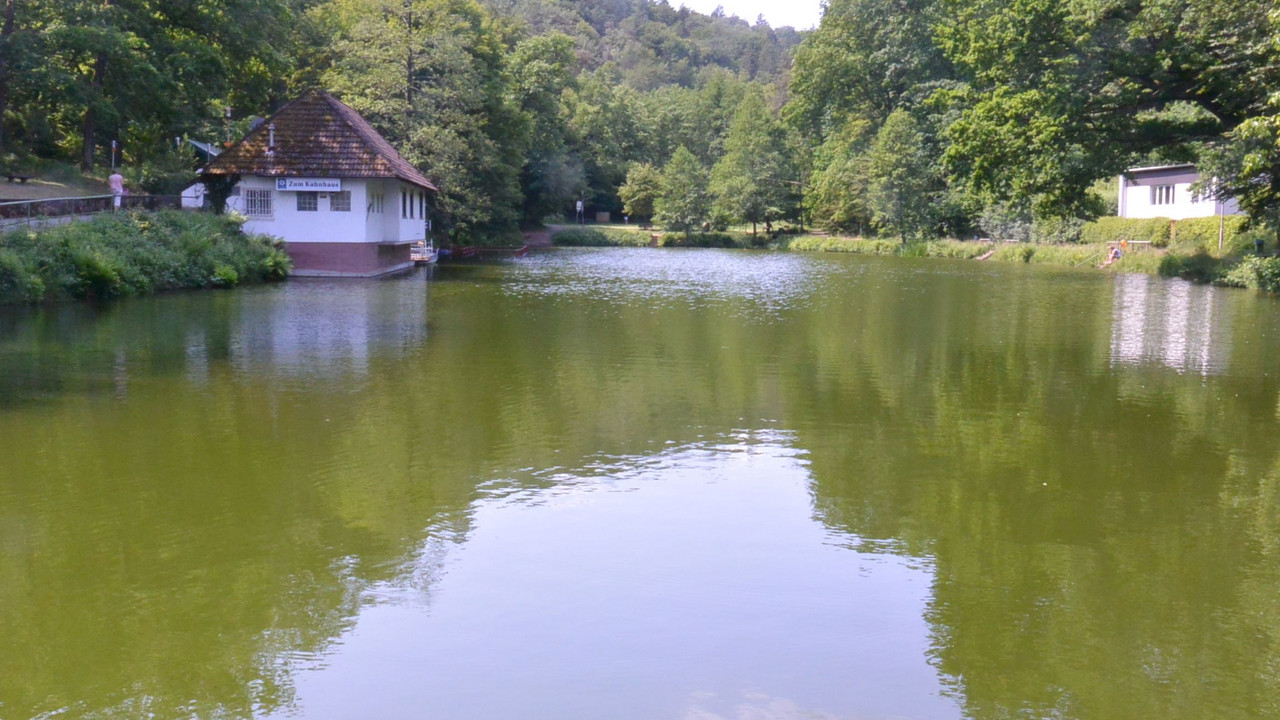 Badesee liegt idyllisch im Wald
