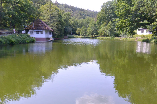 Bärenlochweiher hochgestuft