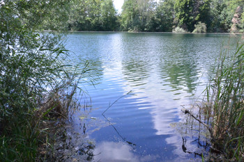 Der See ist von Bäumen umstanden
