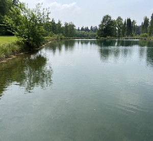 Die Liegewiesen am See sind sehr gepflegt