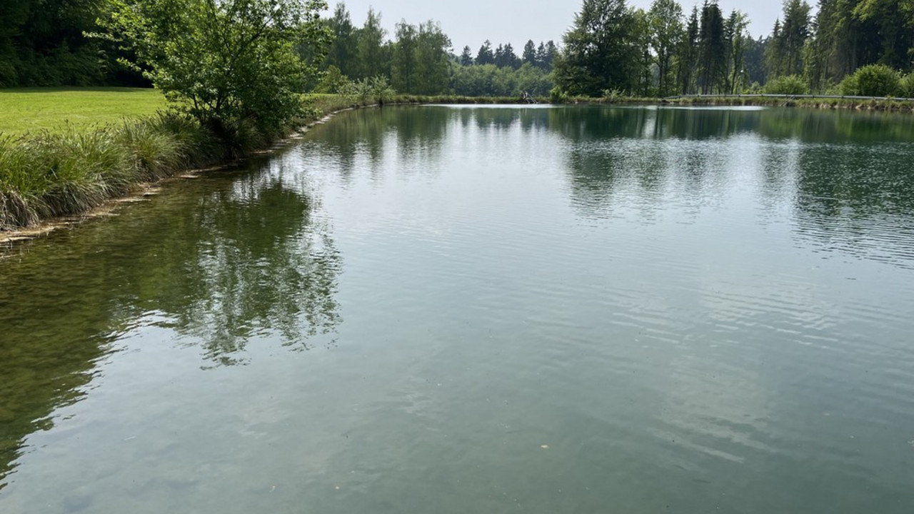 Die Liegewiesen am See sind sehr gepflegt
