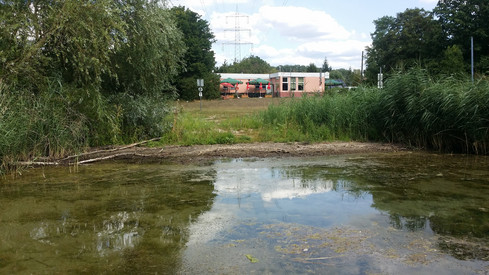 Blick vom See auf die Badestelle Nord