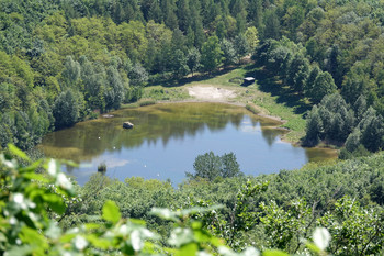 Luftaufnahme des Waldsees