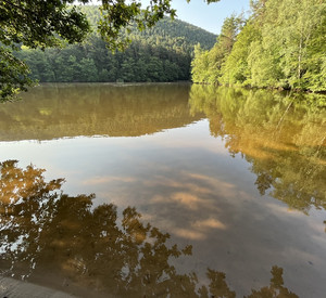 Der See ist von Wald umgeben