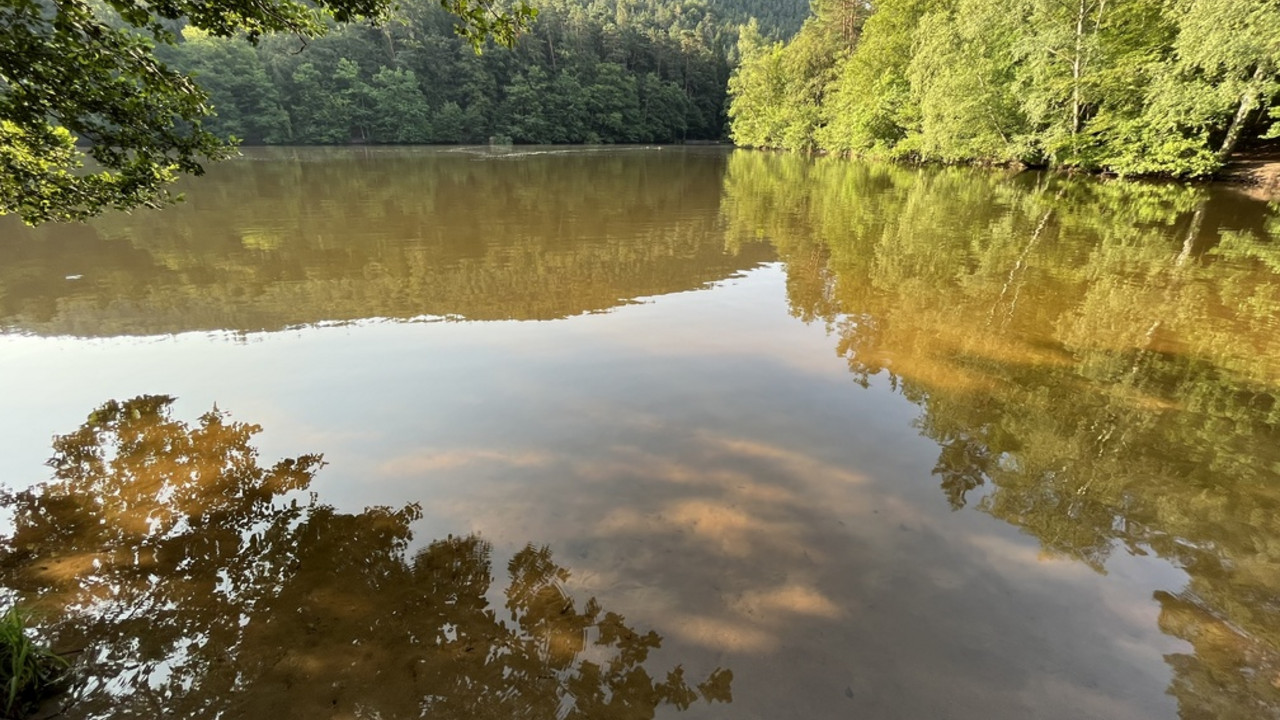 Der See ist von Wald umgeben