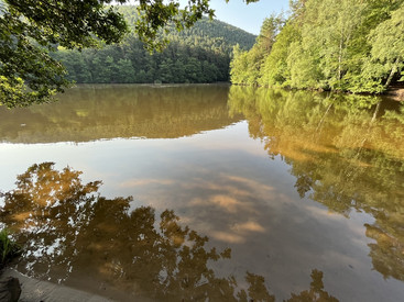 Vorsicht am Seehof Erlenbach