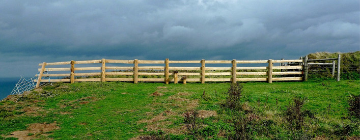 Bild (Ressource) Holzzaum auf einer grünen Wiese