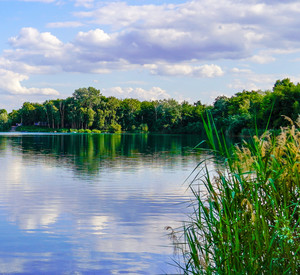 Sonniger Tag am See