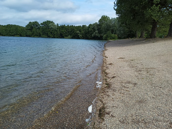 Der Strand besteht aus feinem Kies